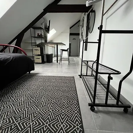 In Troyes Appartement *